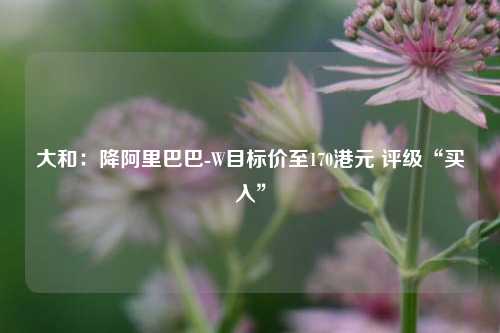 大和：降阿里巴巴-W目标价至170港元 评级“买入	”  第1张