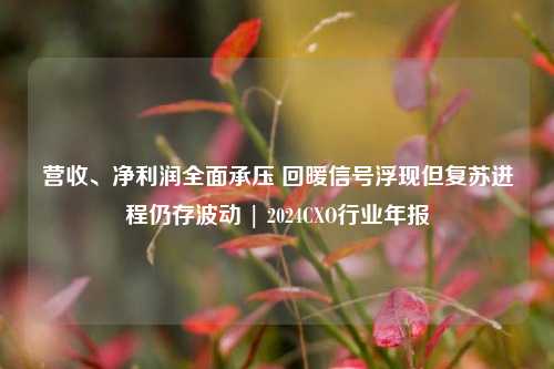 营收、净利润全面承压 回暖信号浮现但复苏进程仍存波动 | 2024CXO行业年报  第1张