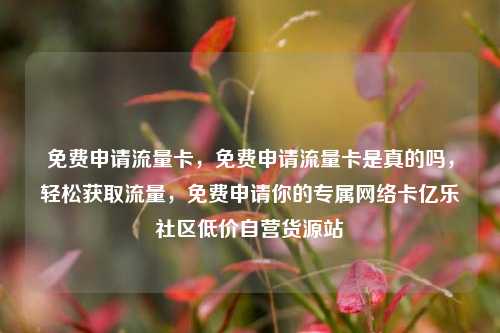 免费申请流量卡，免费申请流量卡是真的吗，轻松获取流量	，免费申请你的专属网络卡亿乐社区低价自营货源站  第1张