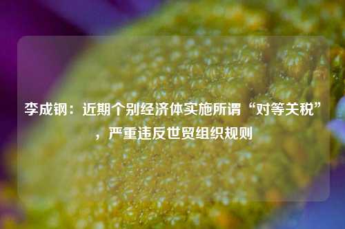 李成钢：近期个别经济体实施所谓“对等关税	”	，严重违反世贸组织规则  第1张