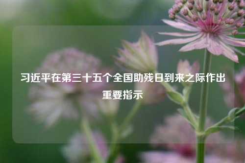 习近平在第三十五个全国助残日到来之际作出重要指示  第1张