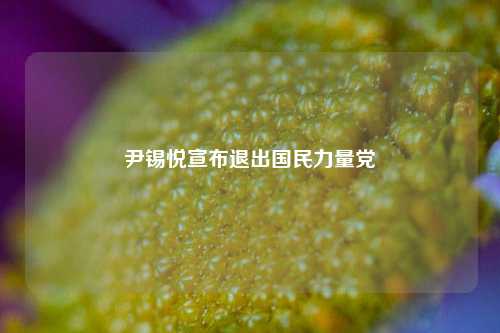 尹锡悦宣布退出国民力量党  第1张