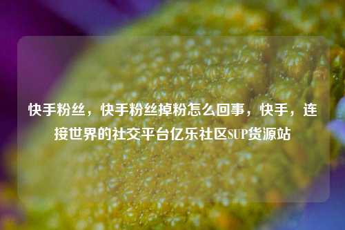 快手粉丝，快手粉丝掉粉怎么回事，快手	，连接世界的社交平台亿乐社区SUP货源站  第1张