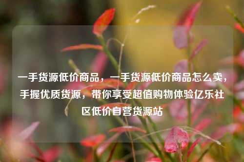 一手货源低价商品，一手货源低价商品怎么卖，手握优质货源	，带你享受超值购物体验亿乐社区低价自营货源站  第1张