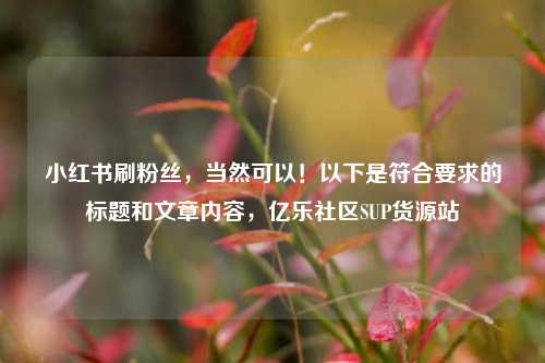 小红书刷粉丝，当然可以！以下是符合要求的标题和文章内容，亿乐社区SUP货源站  第1张
