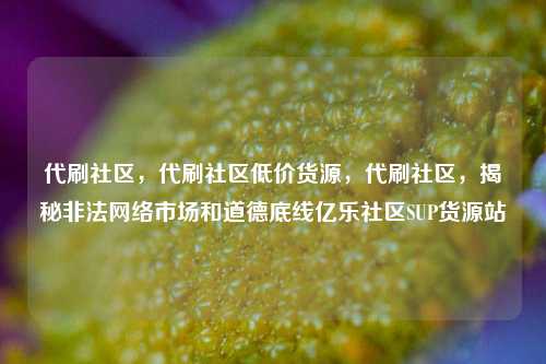 代刷社区，代刷社区低价货源，代刷社区	，揭秘非法网络市场和道德底线亿乐社区SUP货源站  第1张