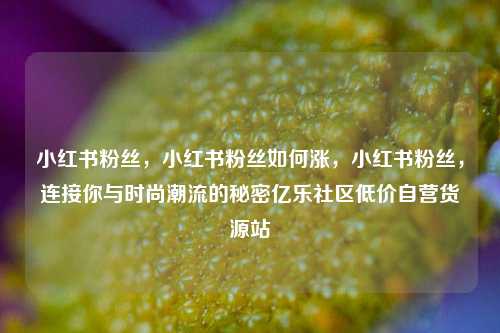 小红书粉丝，小红书粉丝如何涨，小红书粉丝	，连接你与时尚潮流的秘密亿乐社区低价自营货源站  第1张