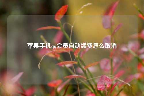 苹果手机qq会员自动续费怎么取消  第1张