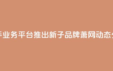 快手业务平台推出新子品牌萧网动态分析  第1张 快手业务平台推出新子品牌萧网动态分析  第1张