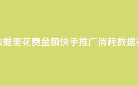 快手推广消耗数据里花费金额(快手推广消耗数据:花费金额大揭秘)  第1张 快手推广消耗数据里花费金额(快手推广消耗数据:花费金额大揭秘)  第1张