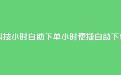 风雨科技24小时自助下单(24小时便捷自助下单服务 - 风雨科技)  第1张