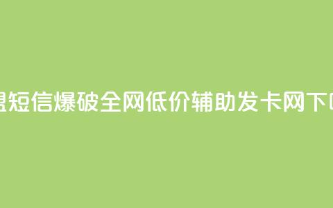 卡盟短信爆破 - 全网低价辅助发卡网  第1张 卡盟短信爆破 - 全网低价辅助发卡网  第1张
