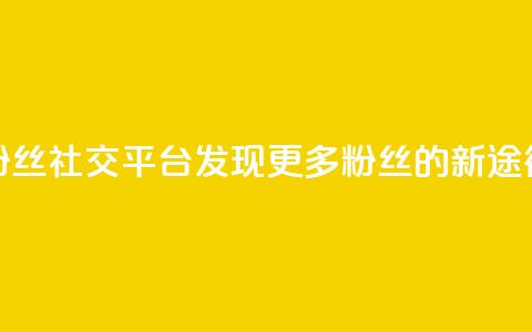 粉丝社交平台:发现更多粉丝的新途径  第1张 粉丝社交平台:发现更多粉丝的新途径  第1张