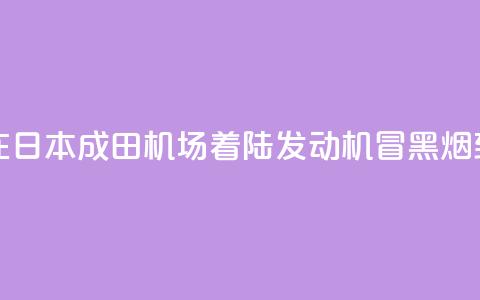 新航波音客机在日本成田机场着陆 发动机冒黑烟致跑道一度关闭  第1张 新航波音客机在日本成田机场着陆 发动机冒黑烟致跑道一度关闭  第1张