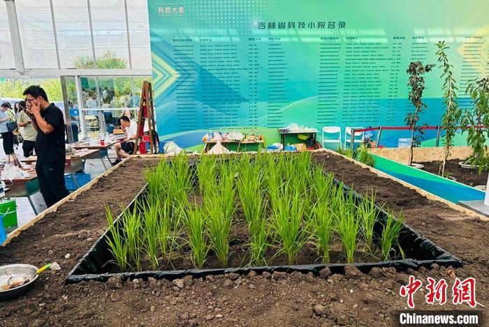 长春农博会观察:科技小院为乡村振兴聚智赋能  第2张 长春农博会观察:科技小院为乡村振兴聚智赋能  第2张