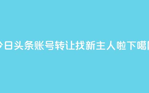 今日头条账号转让:找新主人啦!  第1张 今日头条账号转让:找新主人啦!  第1张