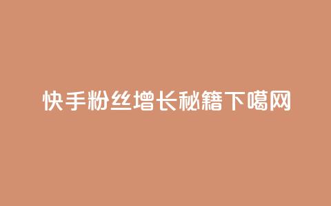 快手粉丝增长秘籍  第1张 快手粉丝增长秘籍  第1张