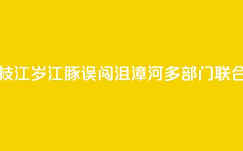 湖北枝江:2岁江豚误闯沮漳河 多部门联合救援  第1张 湖北枝江:2岁江豚误闯沮漳河 多部门联合救援  第1张