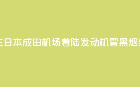 新航波音客机在日本成田机场着陆 发动机冒黑烟致跑道一度关闭 第1张 新航波音客机在日本成田机场着陆 发动机冒黑烟致跑道一度关闭 第1张