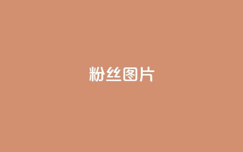 粉丝图片,卡盟qq会员 - 拼多多砍价软件代砍平台 拼多多砍价有多少层  第1张 粉丝图片,卡盟qq会员 - 拼多多砍价软件代砍平台 拼多多砍价有多少层  第1张