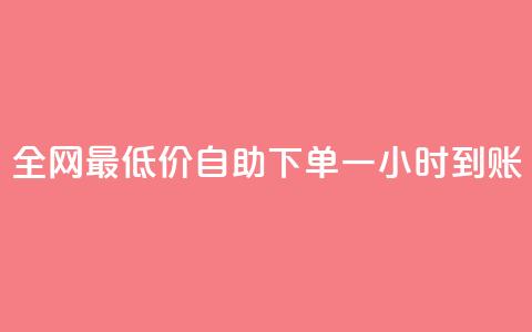 全网最低价:自助下单一小时到账  第1张 全网最低价:自助下单一小时到账  第1张