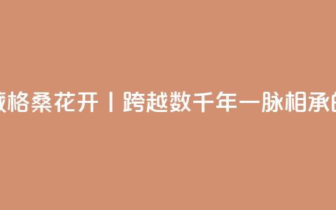 寻觅西藏 格桑花开丨跨越数千年一脉相承的藏医药  第1张 寻觅西藏 格桑花开丨跨越数千年一脉相承的藏医药  第1张