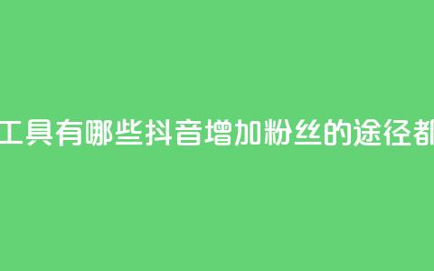 抖音涨粉丝的工具有哪些 - 抖音增加粉丝的途径都有哪些?!  第1张 抖音涨粉丝的工具有哪些 - 抖音增加粉丝的途径都有哪些?!  第1张