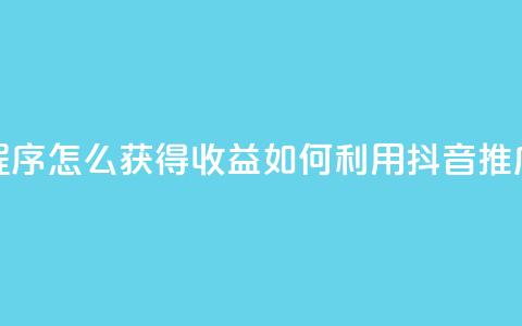 抖音推广小程序怎么获得收益(如何利用抖音推广小程序赚钱)  第1张
