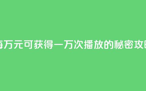 每万元可获得一万次播放的秘密攻略  第1张 每万元可获得一万次播放的秘密攻略  第1张