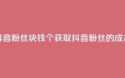 抖音粉丝1块钱10个(获取抖音粉丝的成本)  第1张 抖音粉丝1块钱10个(获取抖音粉丝的成本)  第1张