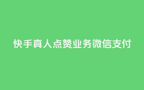 快手真人点赞业务微信支付,ks平台全网最低 - dy赞自助平台网站大表哥 24小时自助下单云小店  第1张