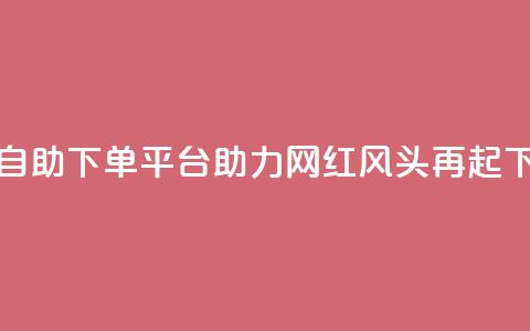 热门自助下单平台助力网红风头再起  第1张 热门自助下单平台助力网红风头再起  第1张