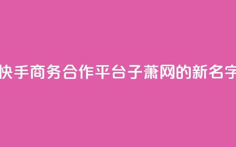 快手商务合作平台子萧网的新名字  第1张 快手商务合作平台子萧网的新名字  第1张