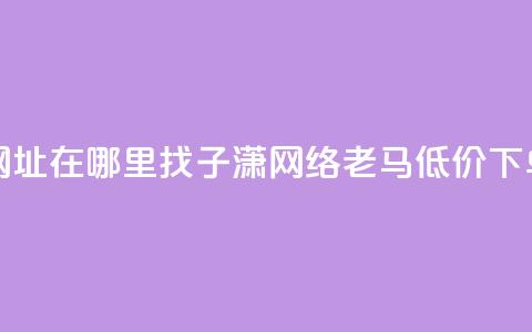 快手点网址在哪里找 - 子潇网络老马低价下单  第1张 快手点网址在哪里找 - 子潇网络老马低价下单  第1张