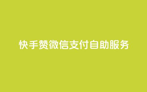 快手赞微信支付自助服务  第1张 快手赞微信支付自助服务  第1张