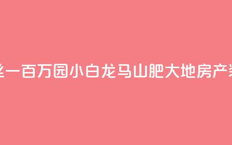 快手粉丝一百万0.01园小白龙马山肥大地房产装修网站,dy自定义评论业务 - qq说说赞低价下单 qq点赞业务  第1张