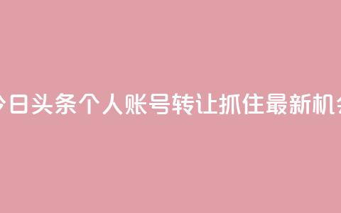今日头条个人账号转让:抓住最新机会  第1张 今日头条个人账号转让:抓住最新机会  第1张