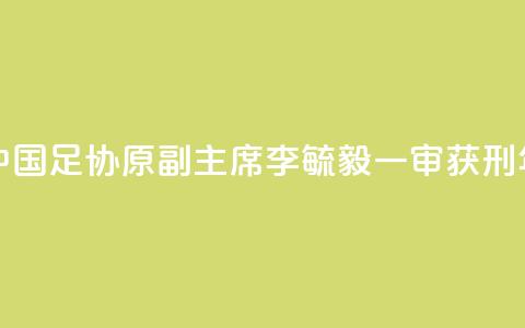 中国足协原副主席李毓毅一审获刑11年  第1张 中国足协原副主席李毓毅一审获刑11年  第1张