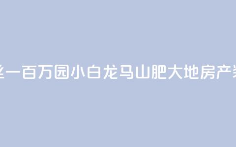 快手粉丝一百万0.01园小白龙马山肥大地房产装修网站,QQ红钻卡盟 - qq业务自助 子潇网络平台是合法吗  第1张