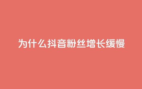 为什么抖音粉丝增长缓慢?  第1张 为什么抖音粉丝增长缓慢?  第1张