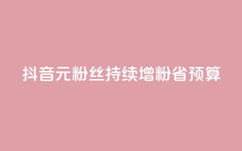 抖音1元3000粉丝持续增粉省预算  第1张 抖音1元3000粉丝持续增粉省预算  第1张
