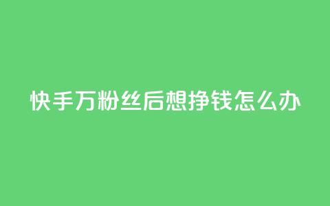 快手1万粉丝后想挣钱怎么办 - 如何在快手1万粉丝后实现收益？。  第1张