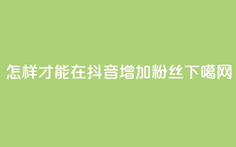 怎样才能在抖音增加粉丝?  第1张 怎样才能在抖音增加粉丝?  第1张