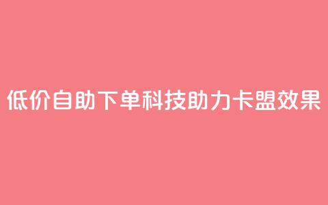 低价自助下单科技助力卡盟SEO效果  第1张 低价自助下单科技助力卡盟SEO效果  第1张