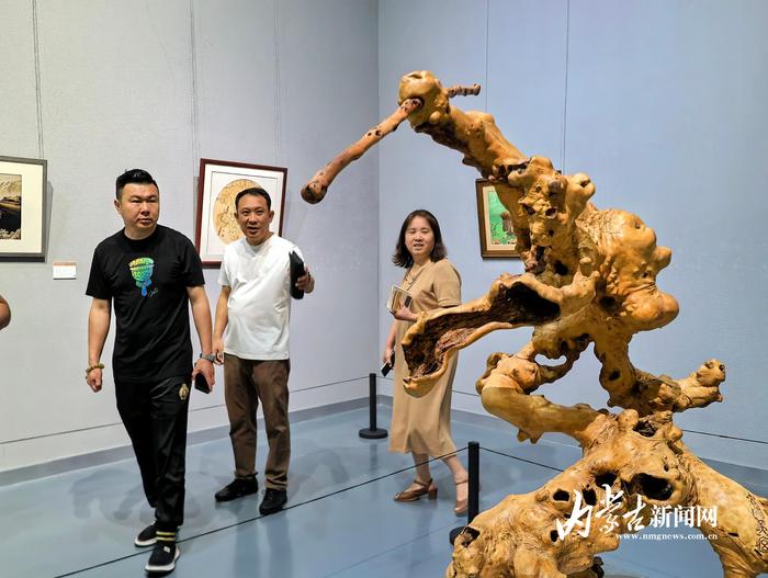 沿黄九省区民间工艺美术精品展在内蒙古美术馆开展  第4张 沿黄九省区民间工艺美术精品展在内蒙古美术馆开展  第4张