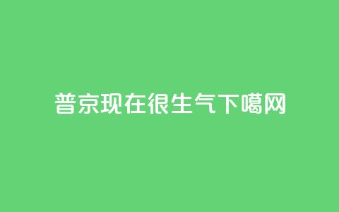 普京现在很生气  第1张 普京现在很生气  第1张
