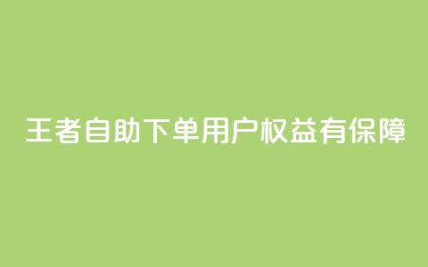 王者自助下单	，用户权益有保障  第1张