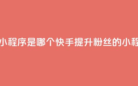 快手涨粉丝的小程序是哪个 - 快手提升粉丝的小程序推荐~  第1张 快手涨粉丝的小程序是哪个 - 快手提升粉丝的小程序推荐~  第1张
