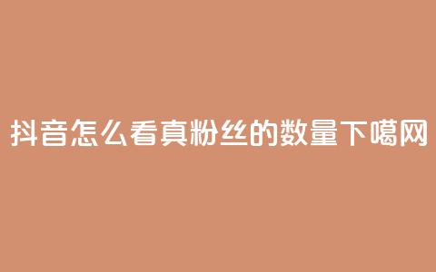 抖音怎么看真粉丝的数量  第1张 抖音怎么看真粉丝的数量  第1张