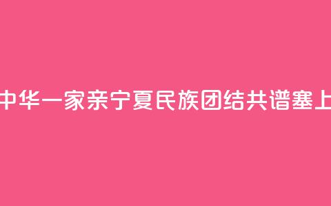 【铸牢共同体 中华一家亲】宁夏:民族团结 共谱塞上江南新篇章  第1张 【铸牢共同体 中华一家亲】宁夏:民族团结 共谱塞上江南新篇章  第1张